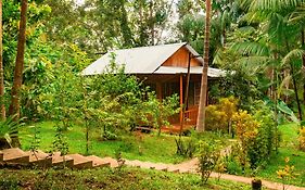 Cabañas Dechi